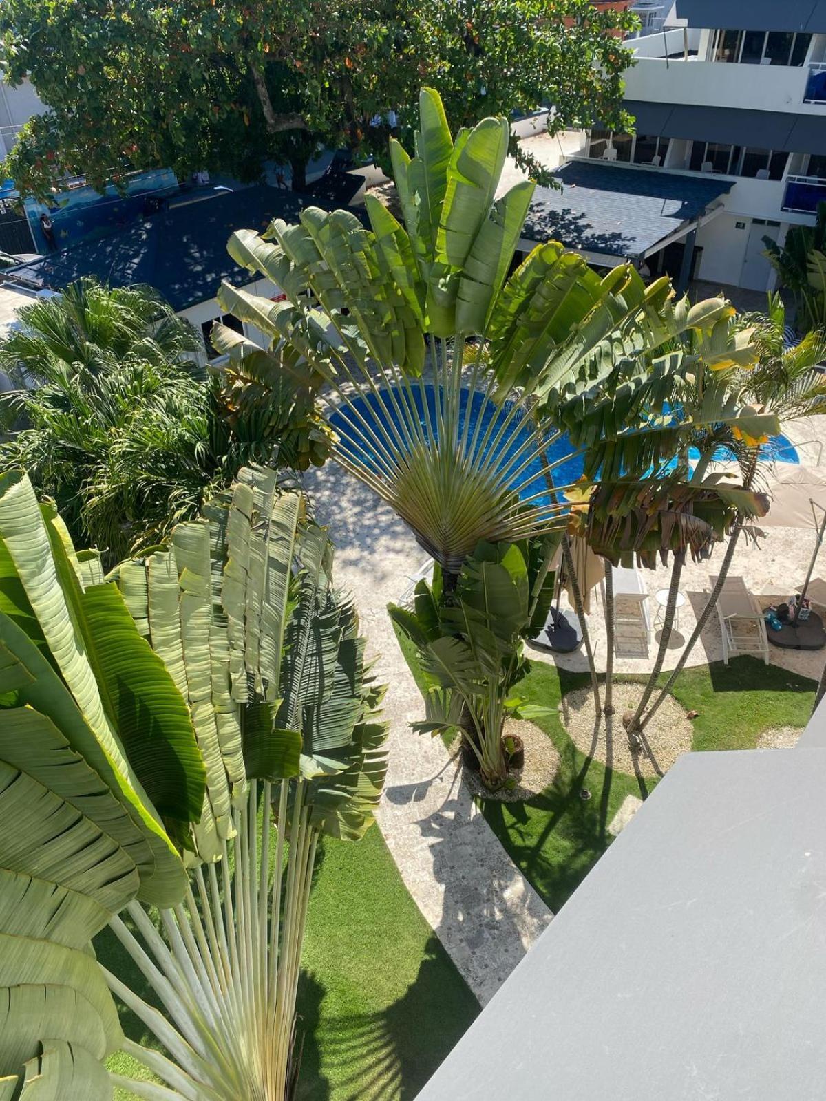 New Garden Hotel Sosua Luaran gambar